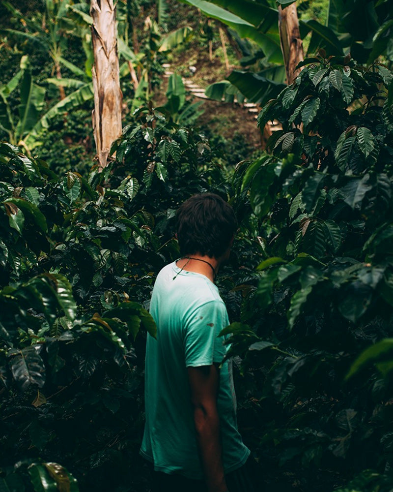 Sustainability card image